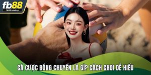 Cá Cược Bóng Chuyền - Kinh Nghiệm Soi Kèo Thực Chiến Online