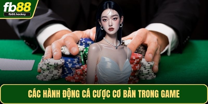 Các hành động cá cược cơ bản trong game