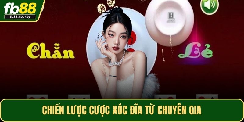Chiến lược cược xóc đĩa từ chuyên gia