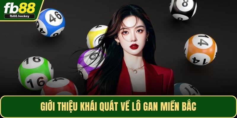Giới thiệu khái quát về lô gan miền Bắc Giới thiệu khái quát về lô gan miền Bắc