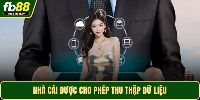 Nhà cái được cho phép thu thập dữ liệu