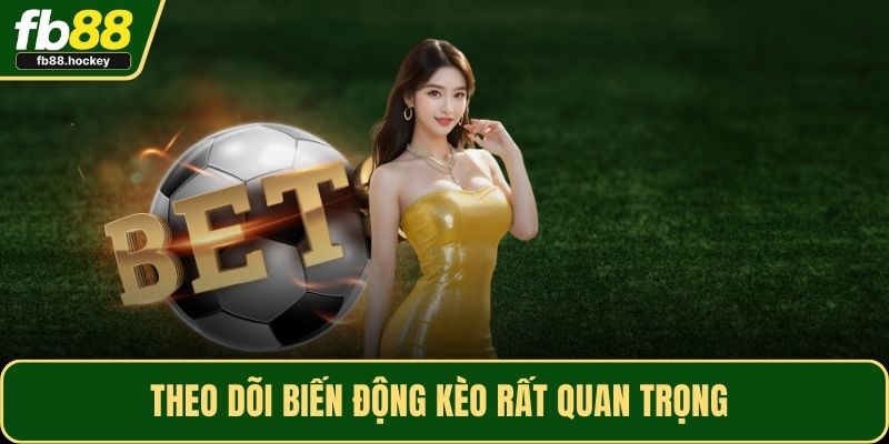 Theo dõi biến động kèo rất quan trọng 